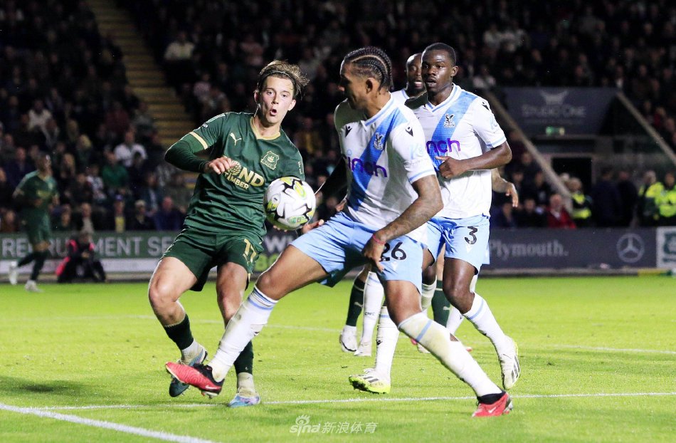 他们究竟为 他们究竟为